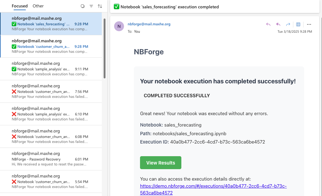 Email notification with execution details